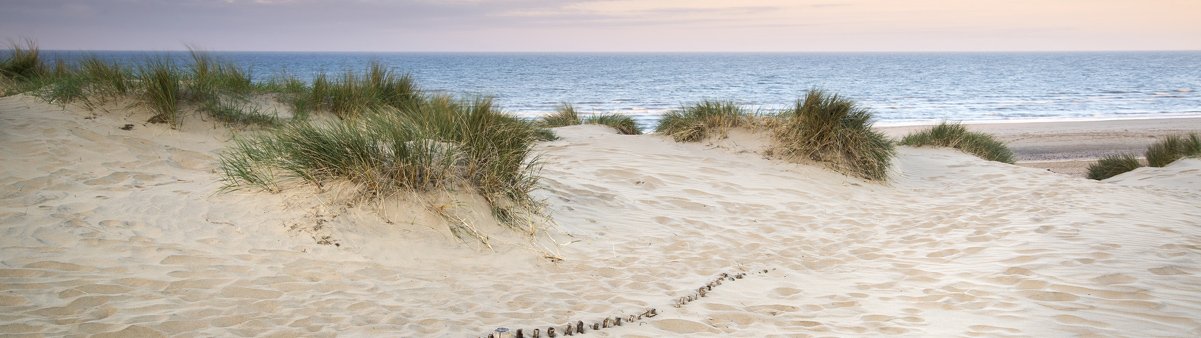 Het strand en de duinen bij Noordwijk